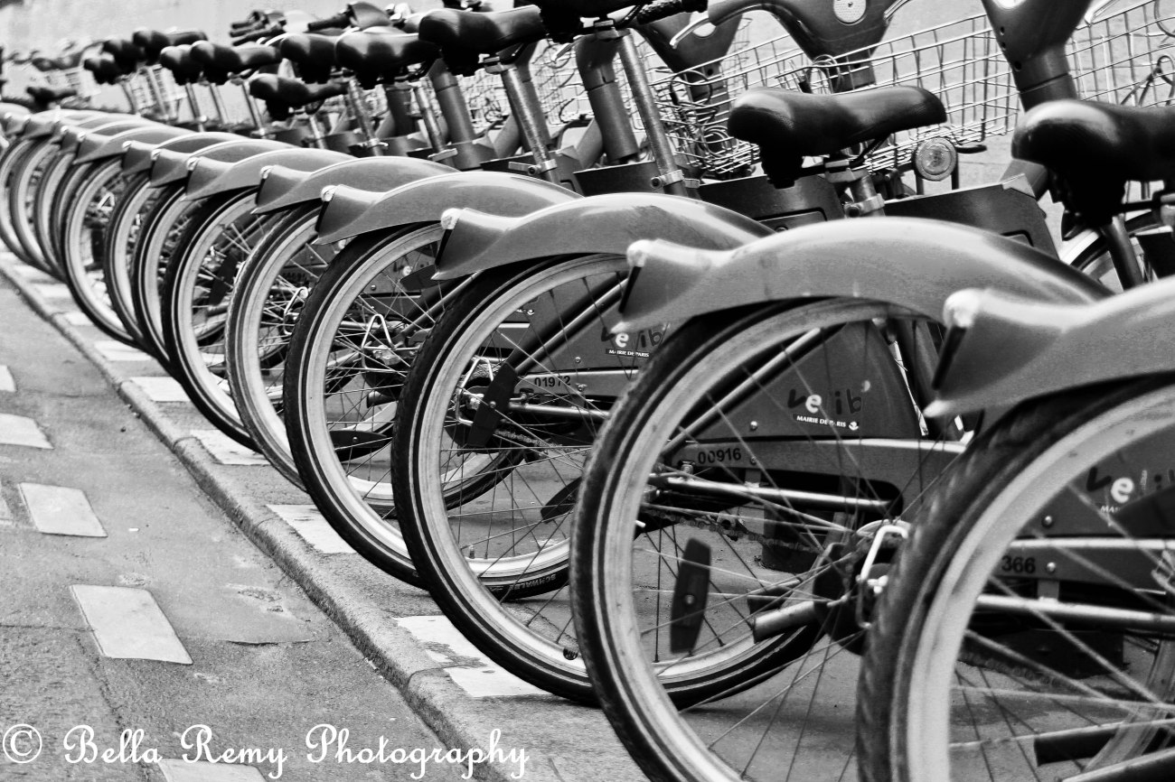 Velib Bike Rentals in Paris http://en.velib.paris.fr/