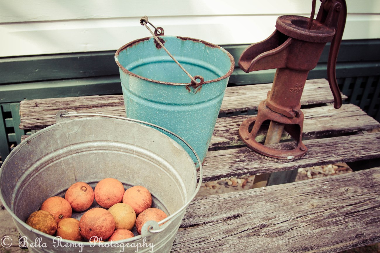 March - Cross Creek, FL