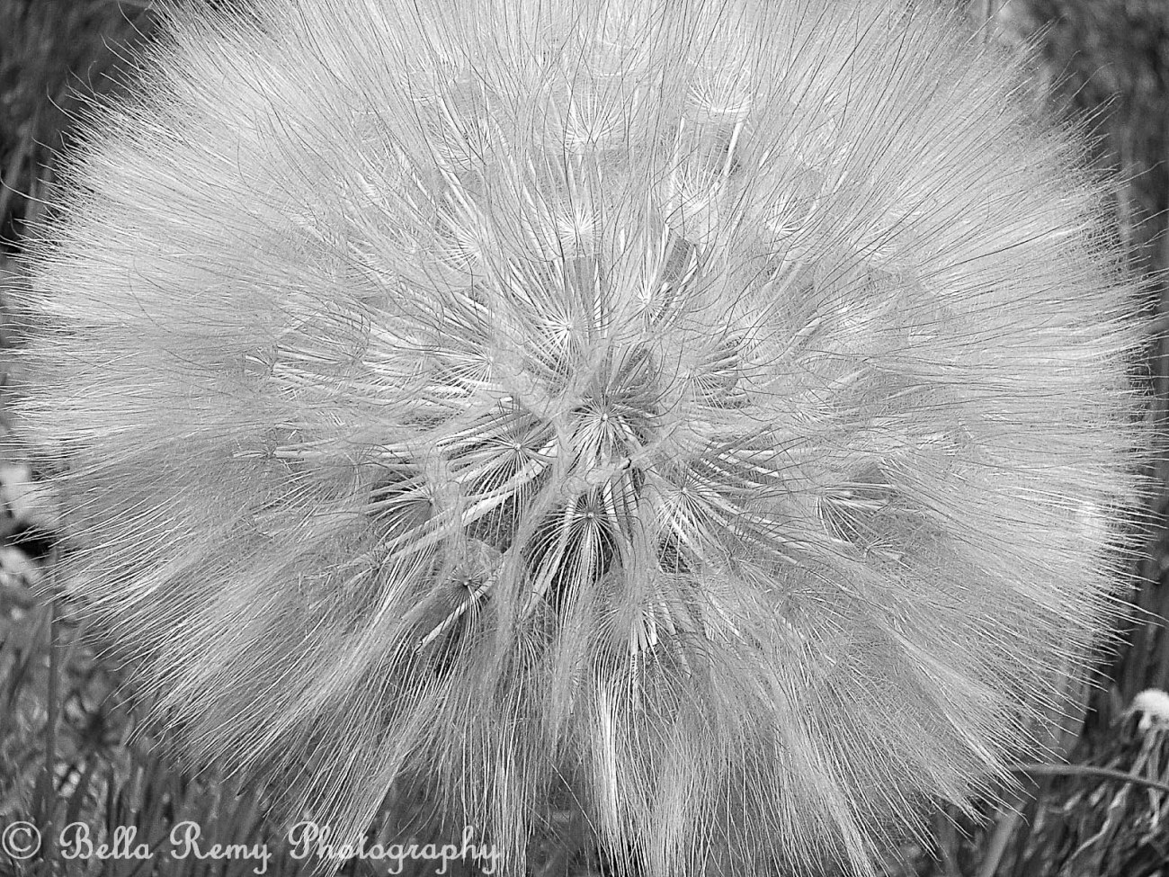 france2011-8938840260105