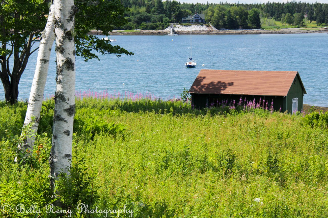Summer - Mount Desert Island Maine