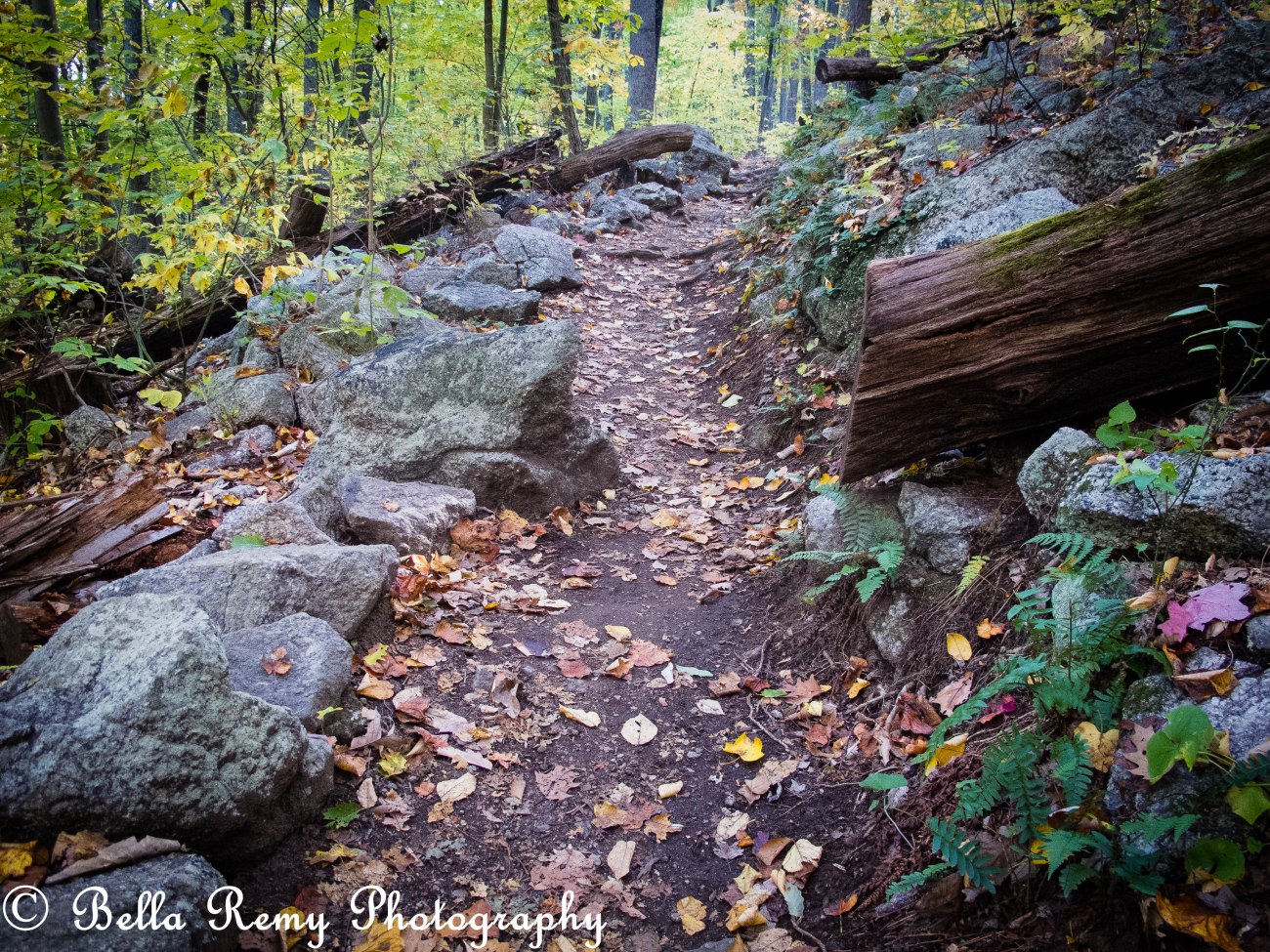 shenandoah101712-1705-2
