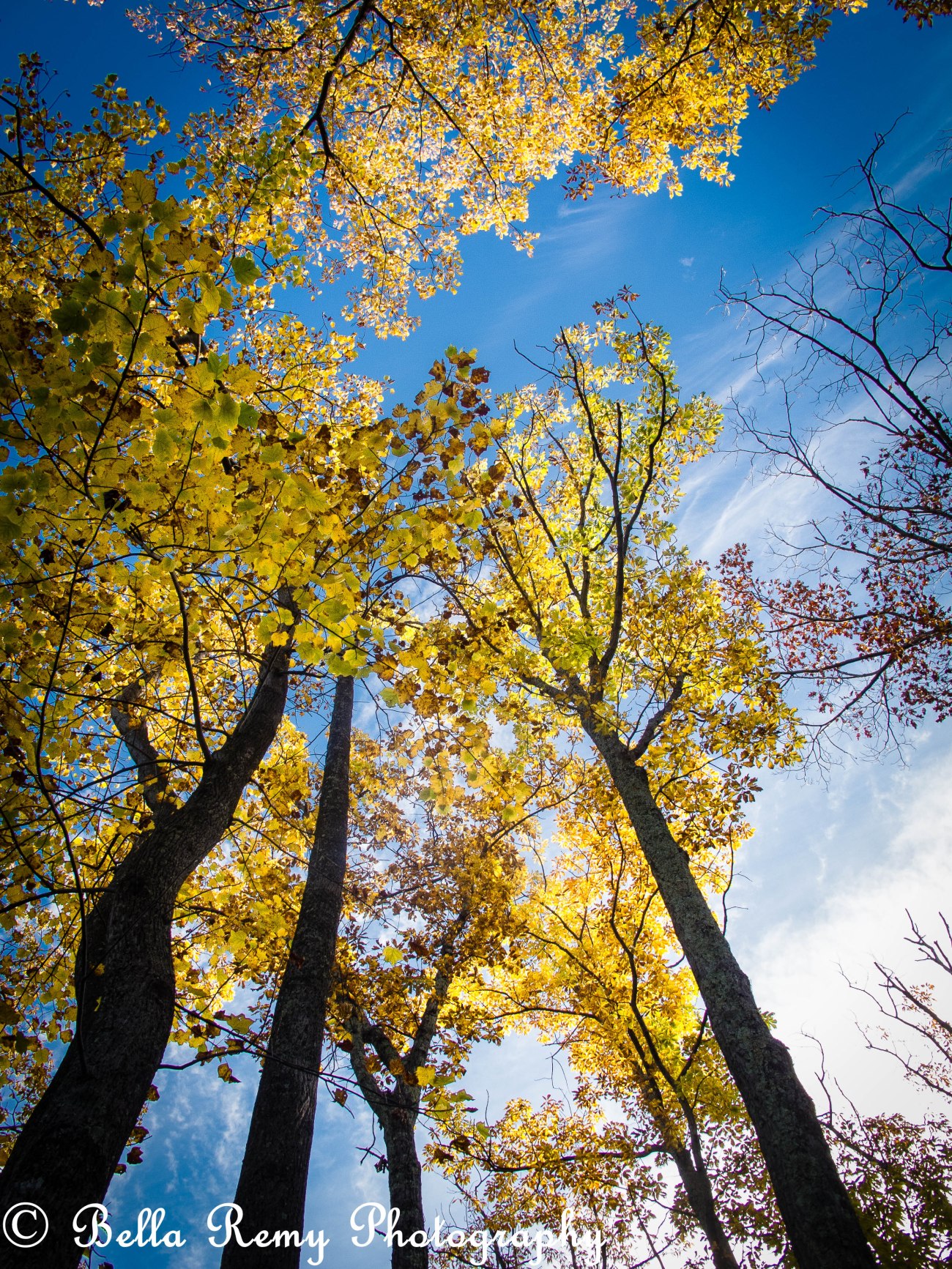 shenandoah101712-1719-2