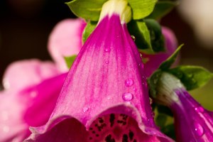 1/100 sec, f/8.0, ISO100