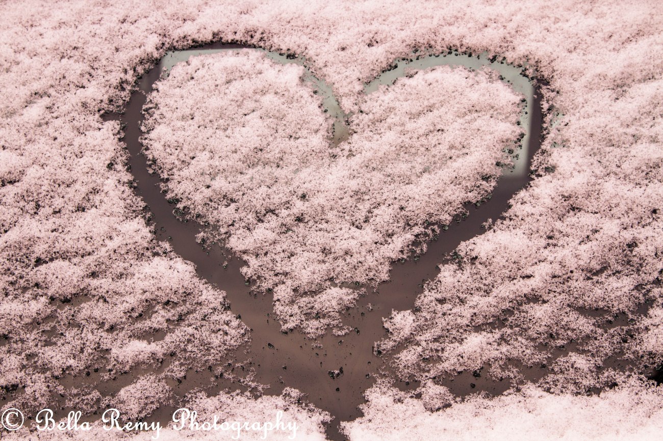 Annapolis130126-2384