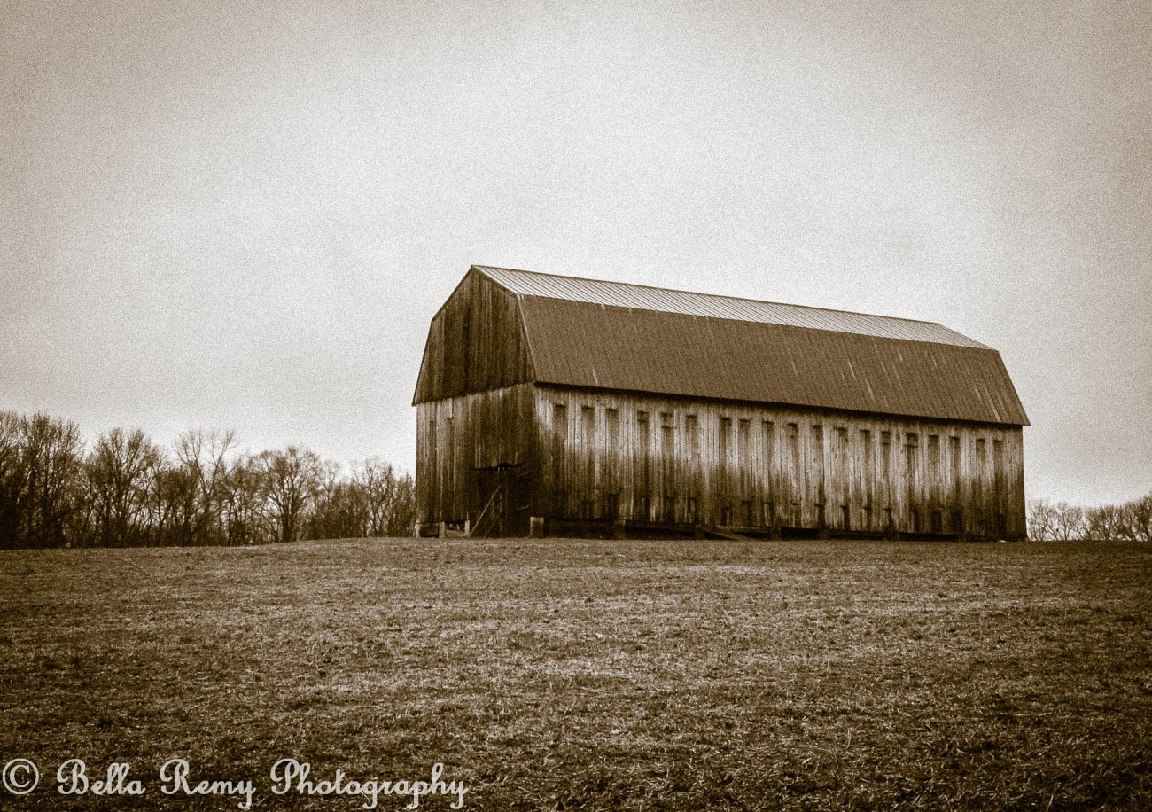 barn130116-0554