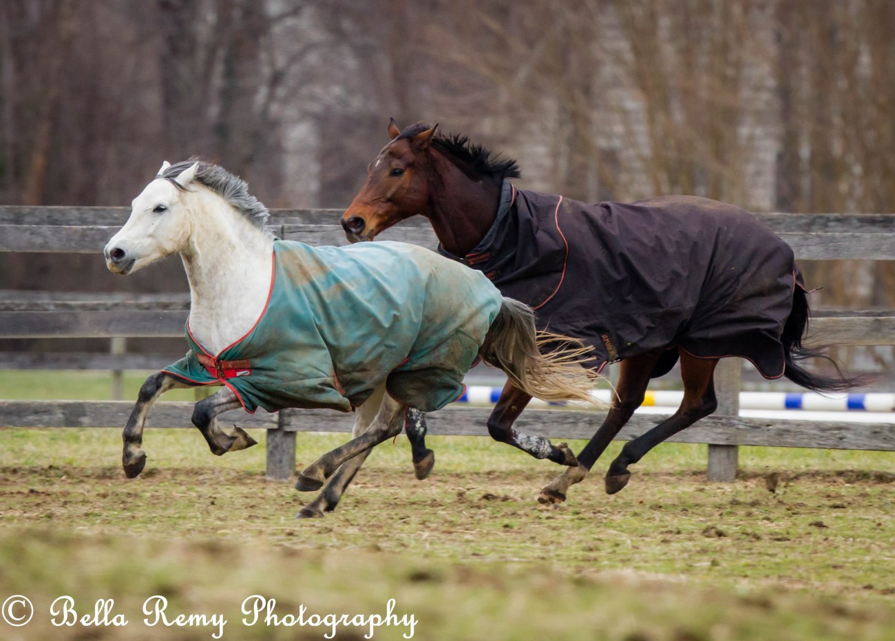 kinderfarm010113-8436