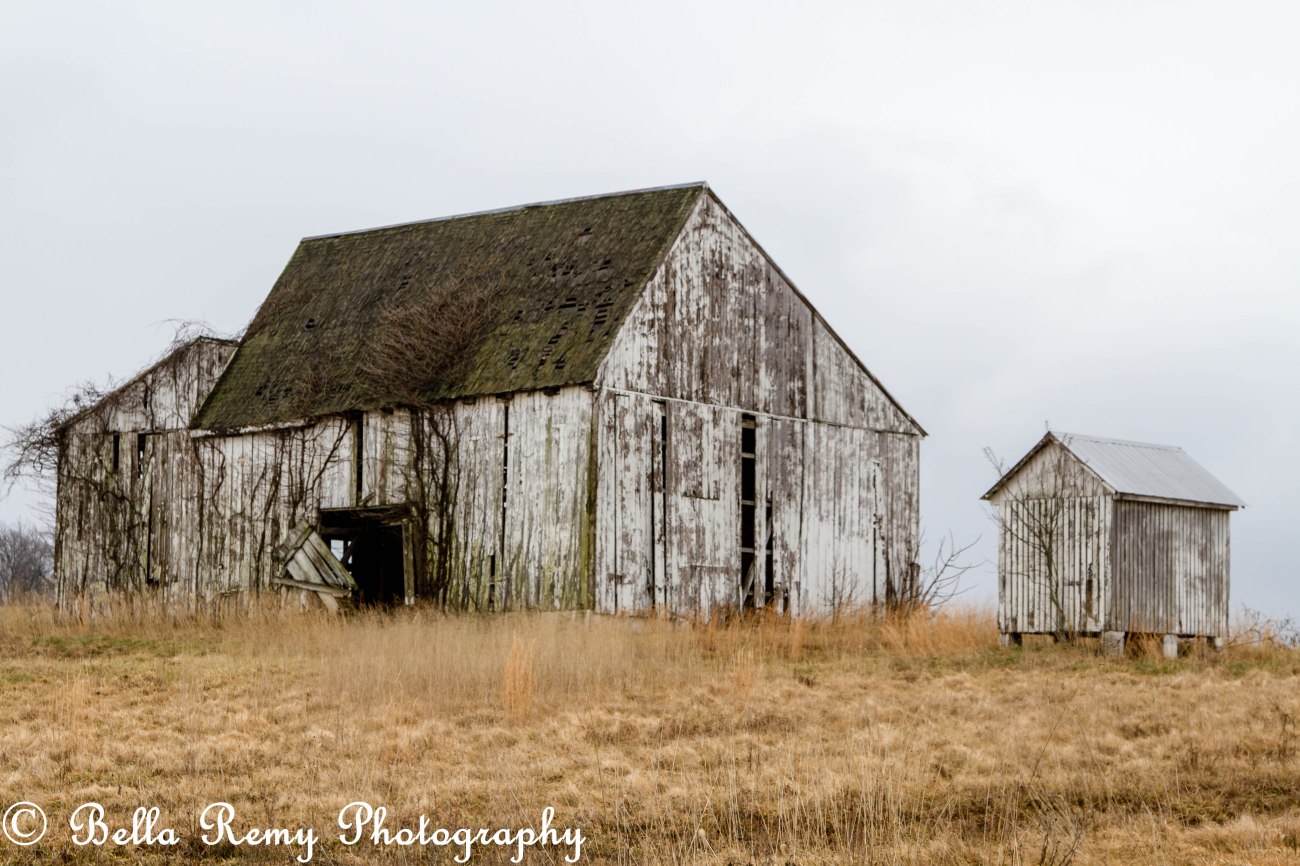 IndiansOwls130216-4348