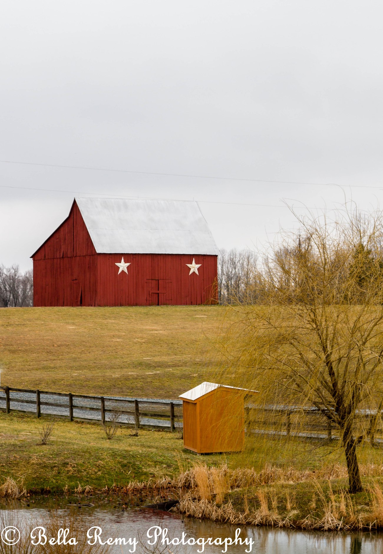 IndiansOwls130216-4350