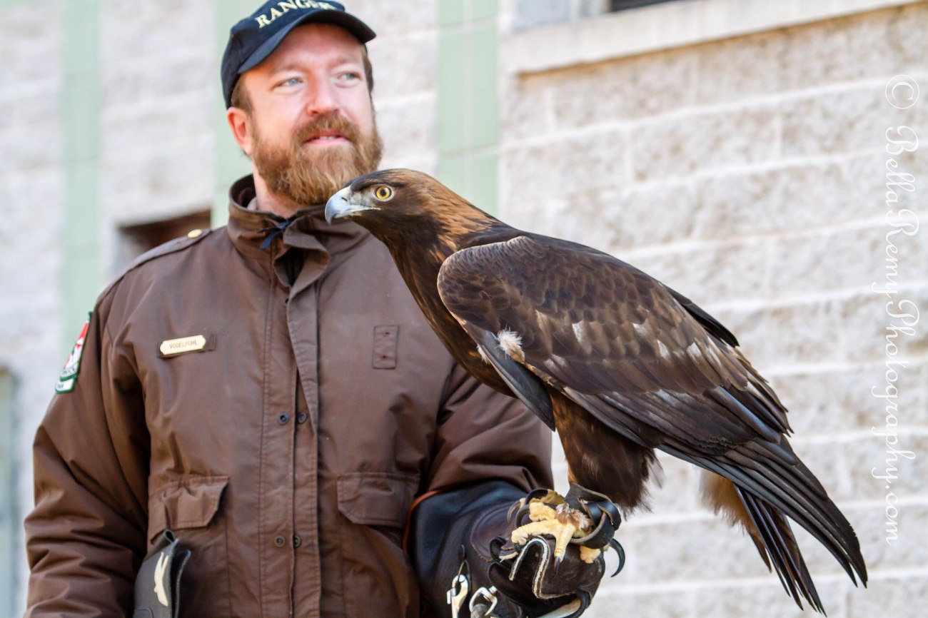 birdsofprey23mar13-8703