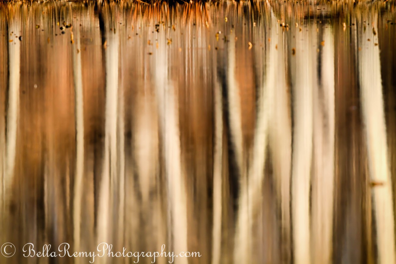 HGSBWI08mar13-7474-Edit