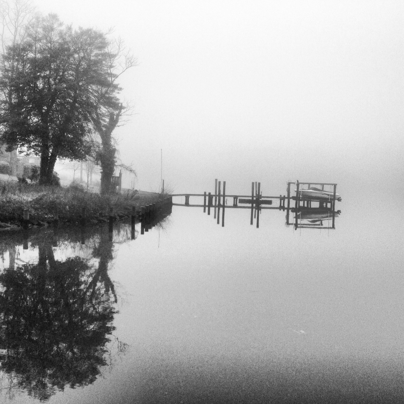 Fog on the Docks