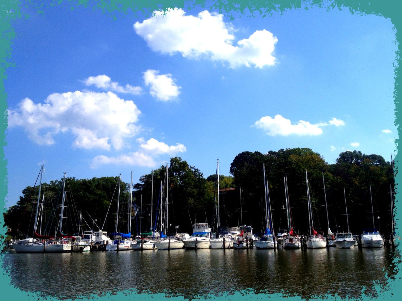 Along the Magothy River