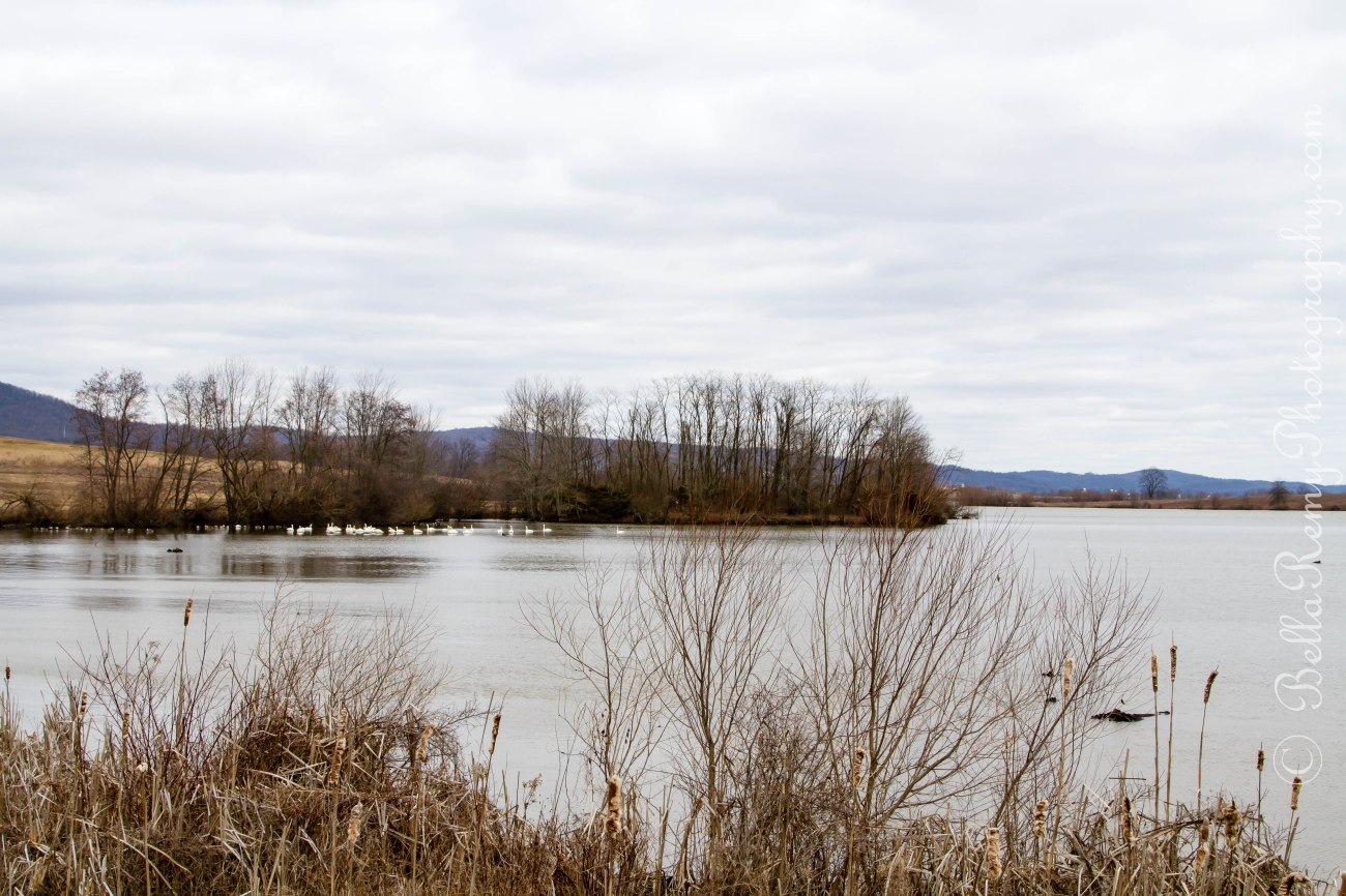 middlecreek03mar13-5797