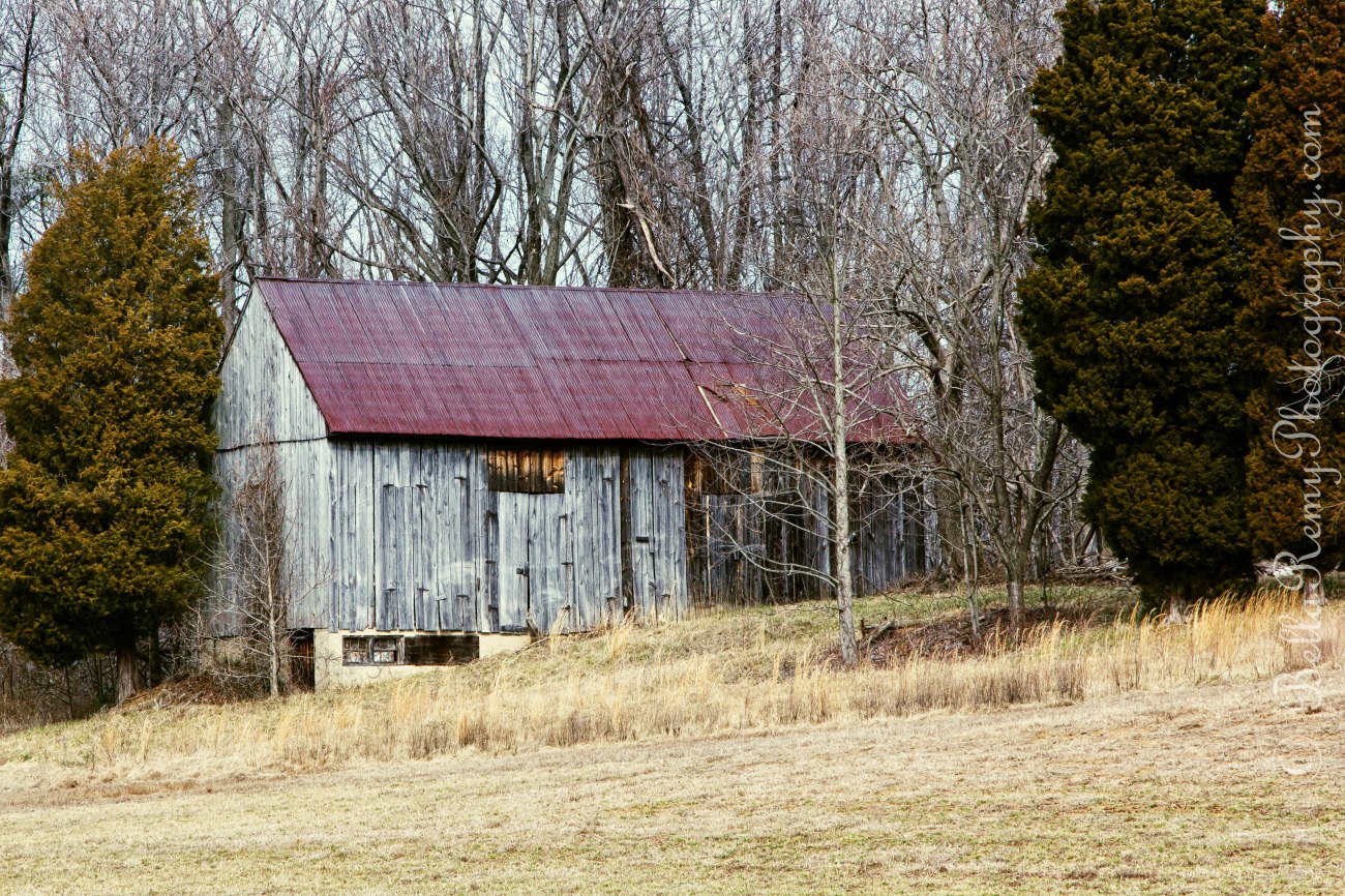 NBeach05mar13-2948-Edit