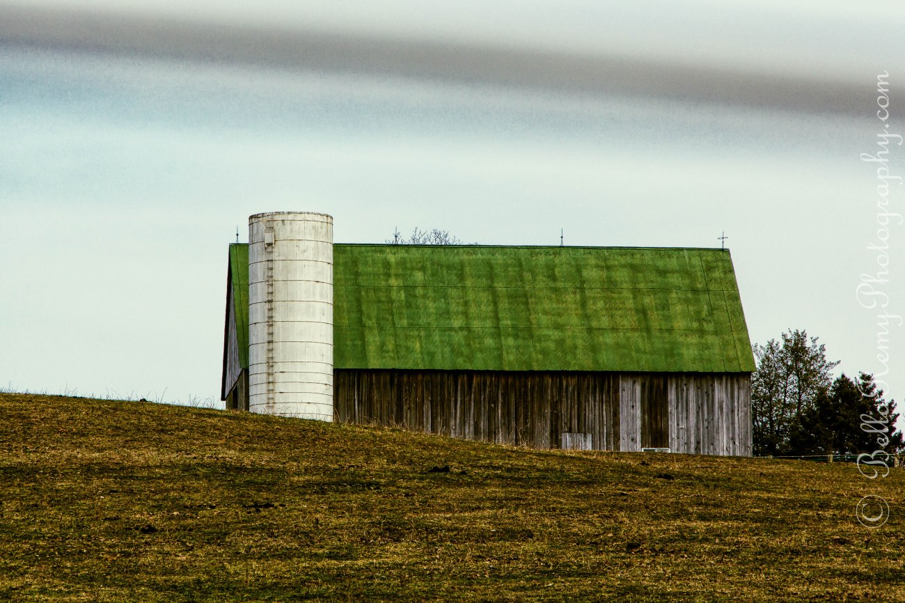 NBeach05mar13-2963-Edit