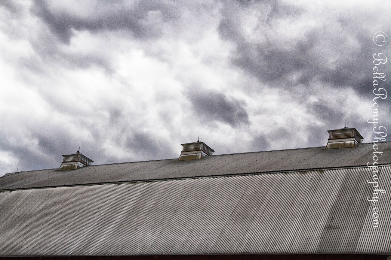 untitled shoot-0115-Edit