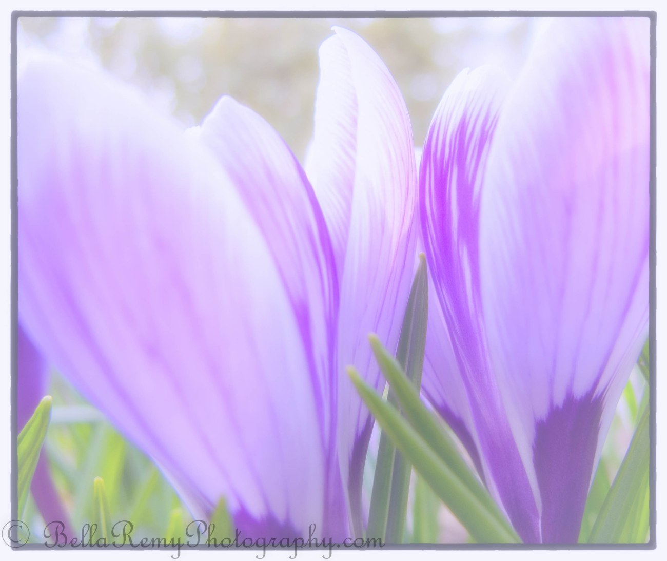 untitled shoot-2057-Edit