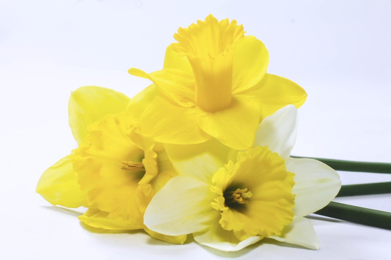 untitled shoot-3169-Edit-2