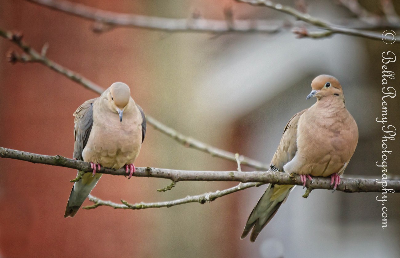 You really should be ashamed of yourself.