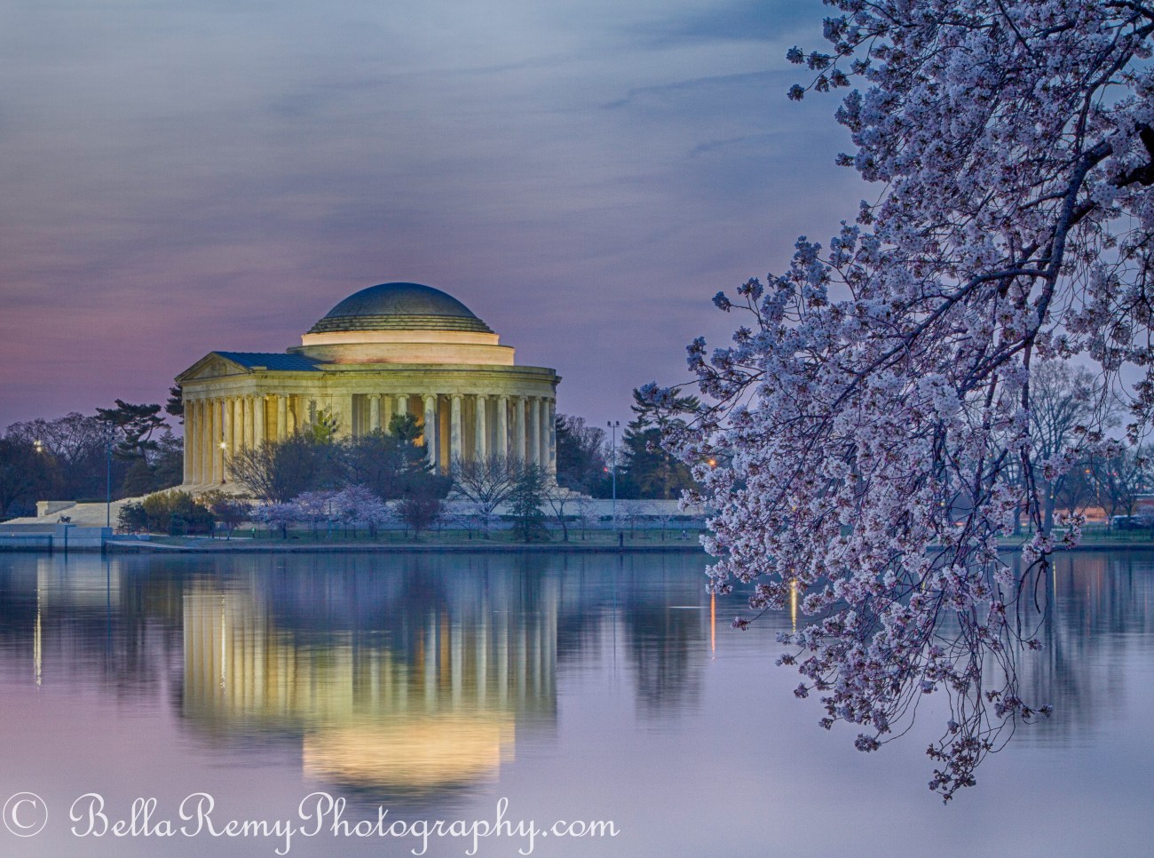 DCcherry09apr13-0991_HDR