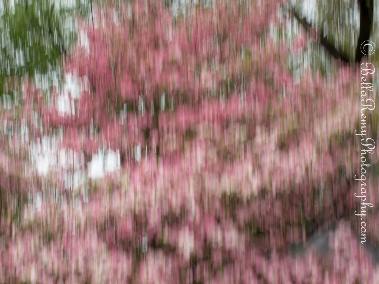 TV f/7.1, 1/15 sec, ISO 80