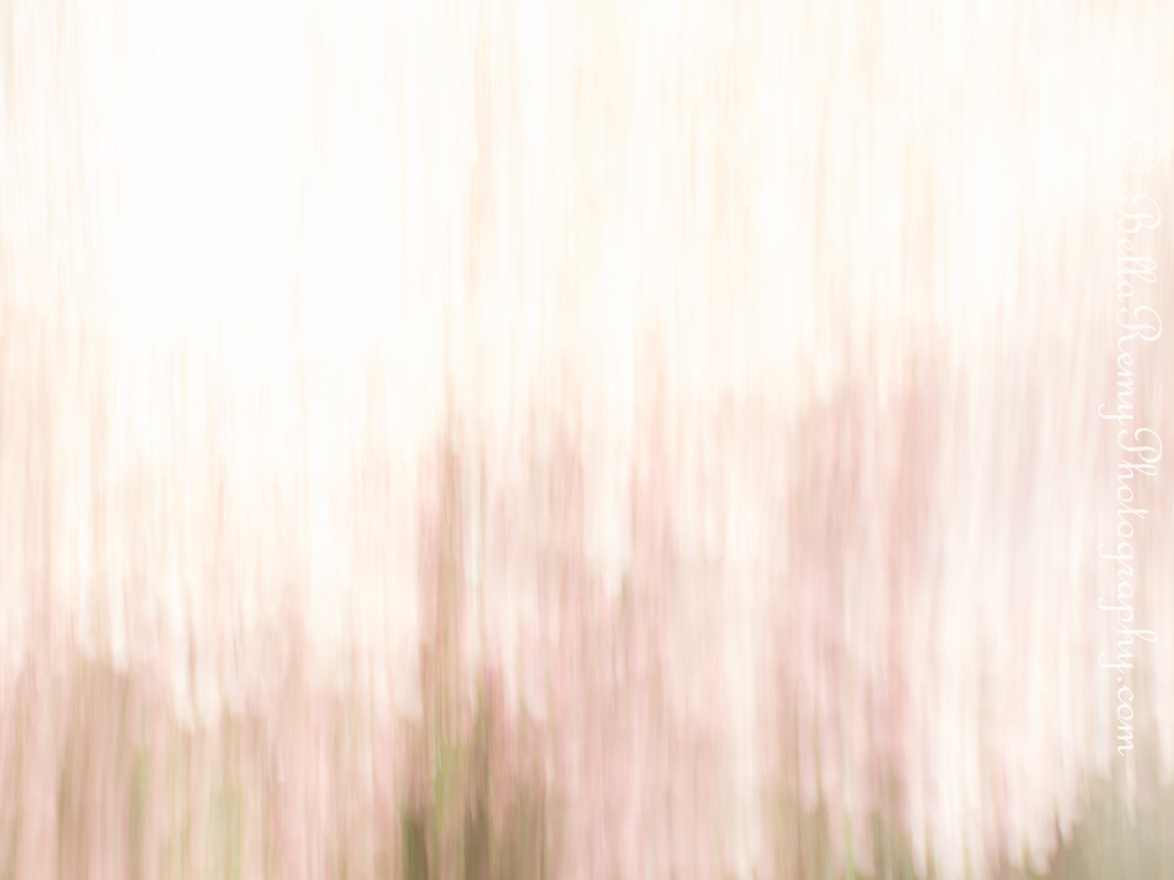 TV f/8.0, 1/.6 sec, ISO 80