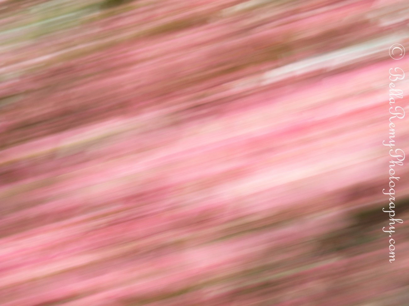 TV, f/8.0, 1/8 sec, ISO 80