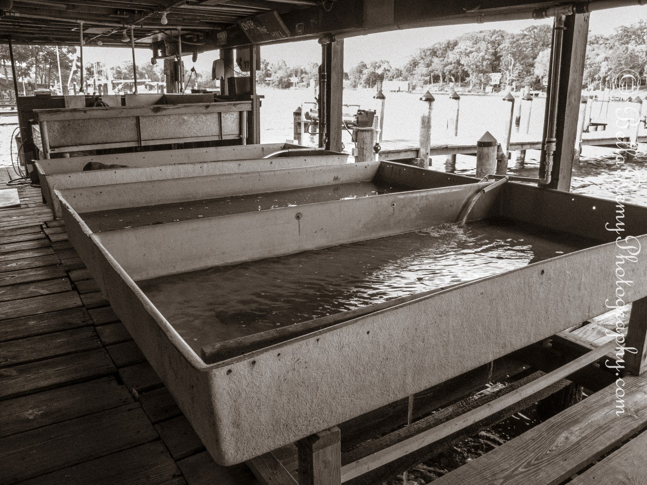 Cantlers15may13-2471