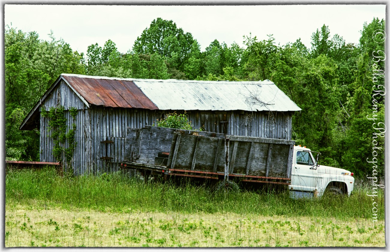 Canon 60D 24-105mm L Edited in Nik Color Efex Pro Detail Extractor, Brilliance/Warmth, Lighten Center, Image border