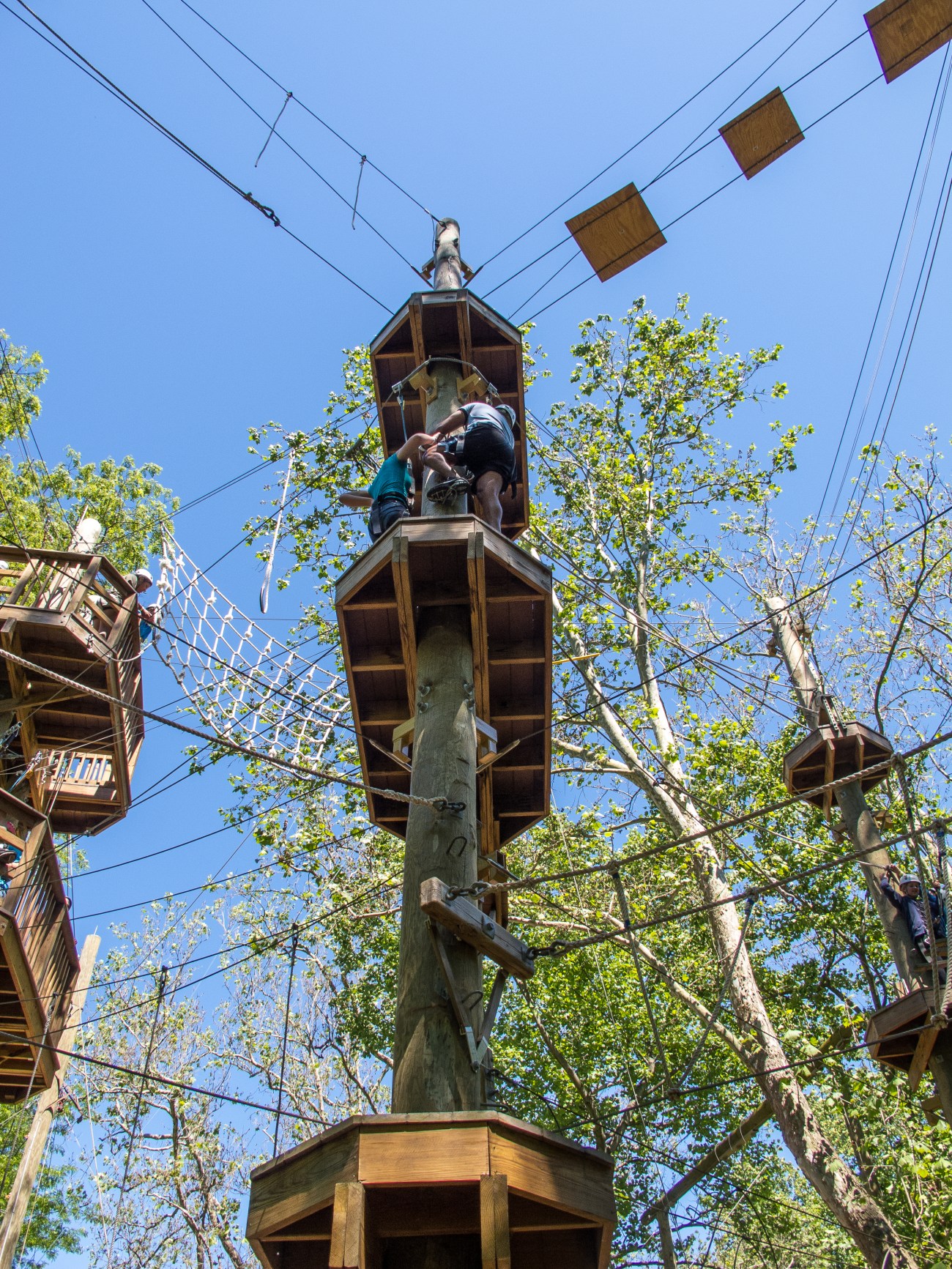 terrapin25may13-2584