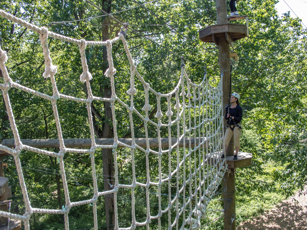 terrapin25may13-2595