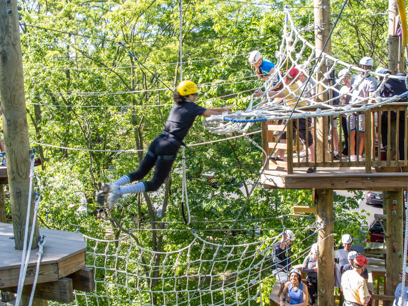 terrapin25may13-2625