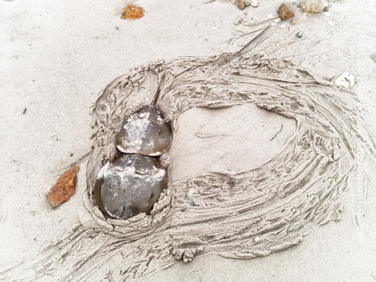 untitled shoot-0822-Edit