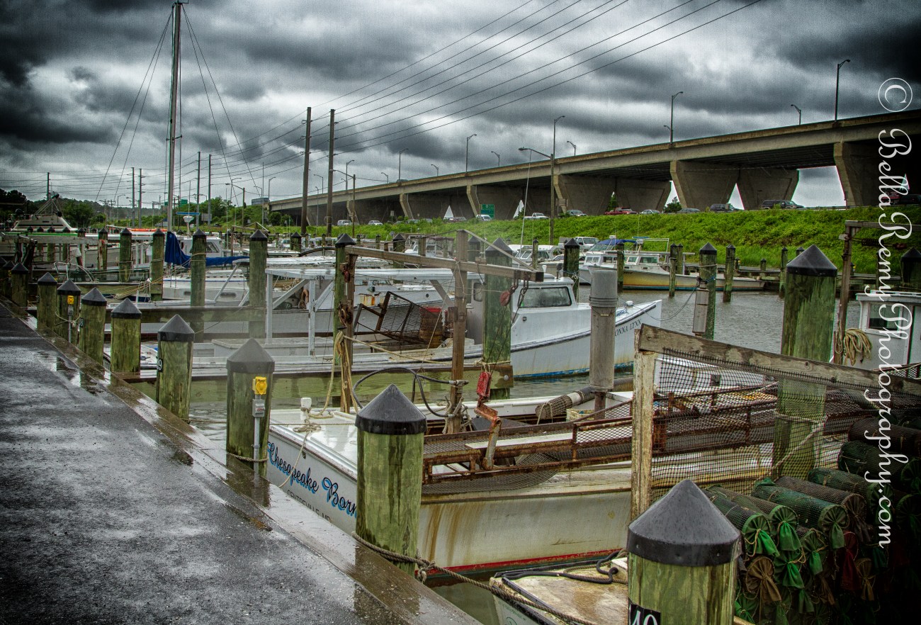 untitled shoot-2279-Edit