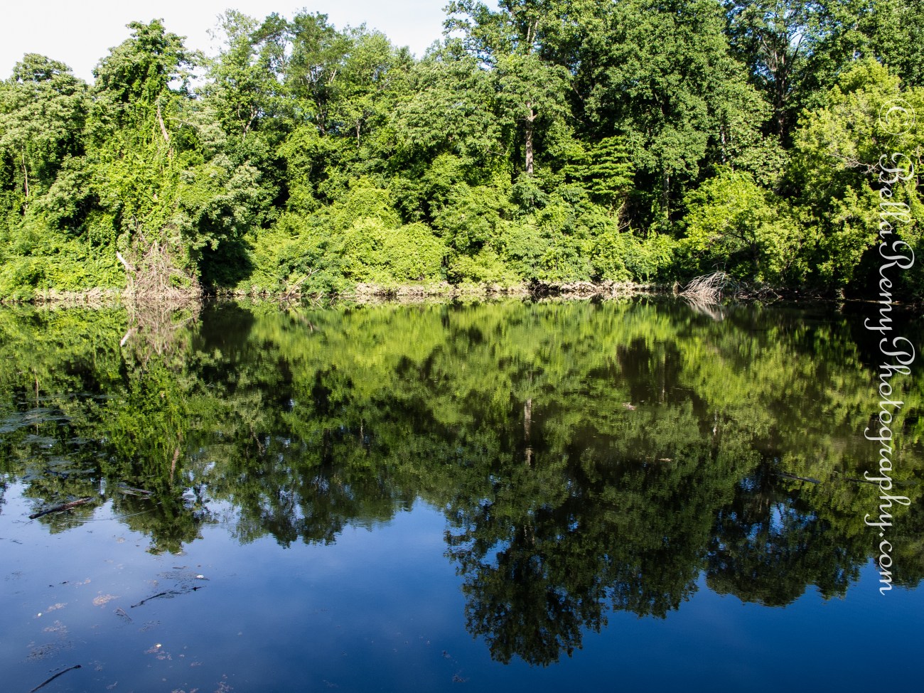 Lost Lake Glen Artney PVSP