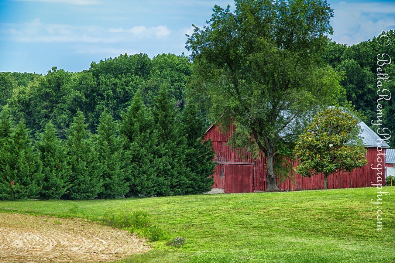 untitled shoot-0217-Edit-2