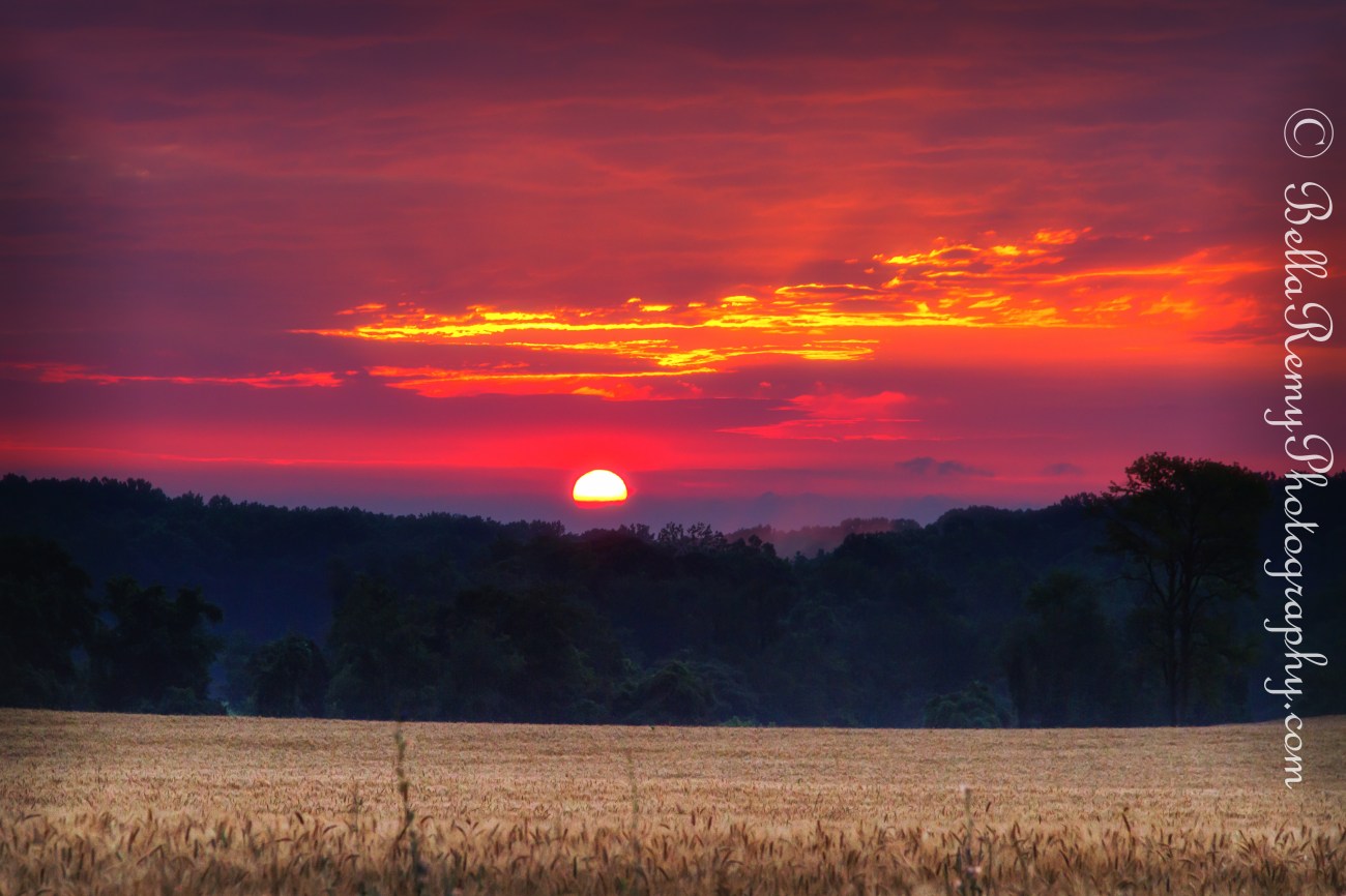 Wootons19jun13-3224-Edit