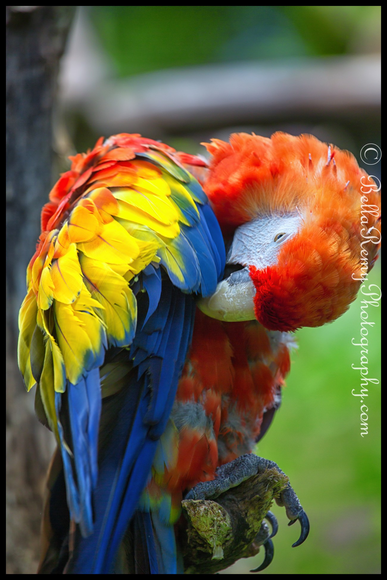 Gettysburg05jul13-2928-Edit