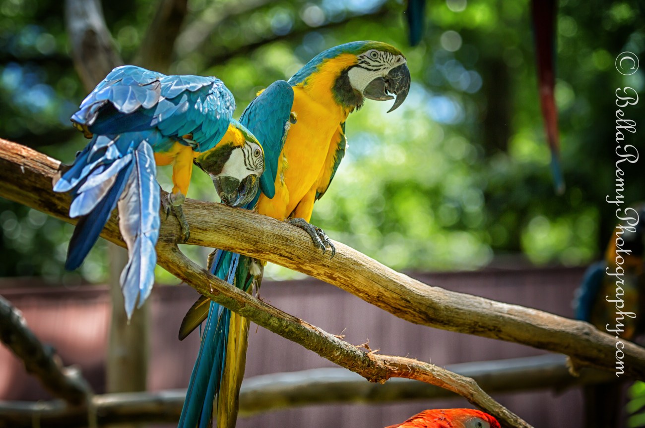 Gettysburg05jul13-2960-Edit-2