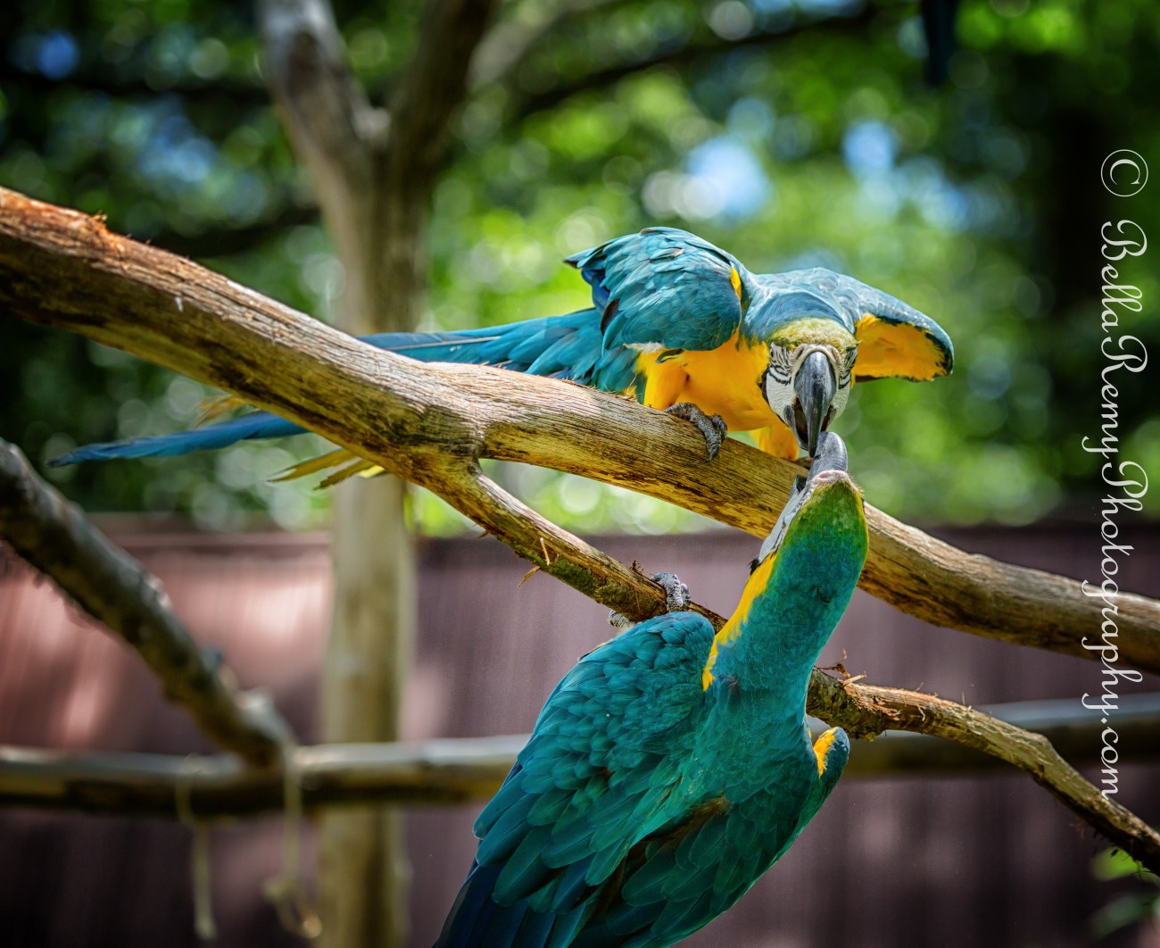 Gettysburg05jul13-2969-Edit