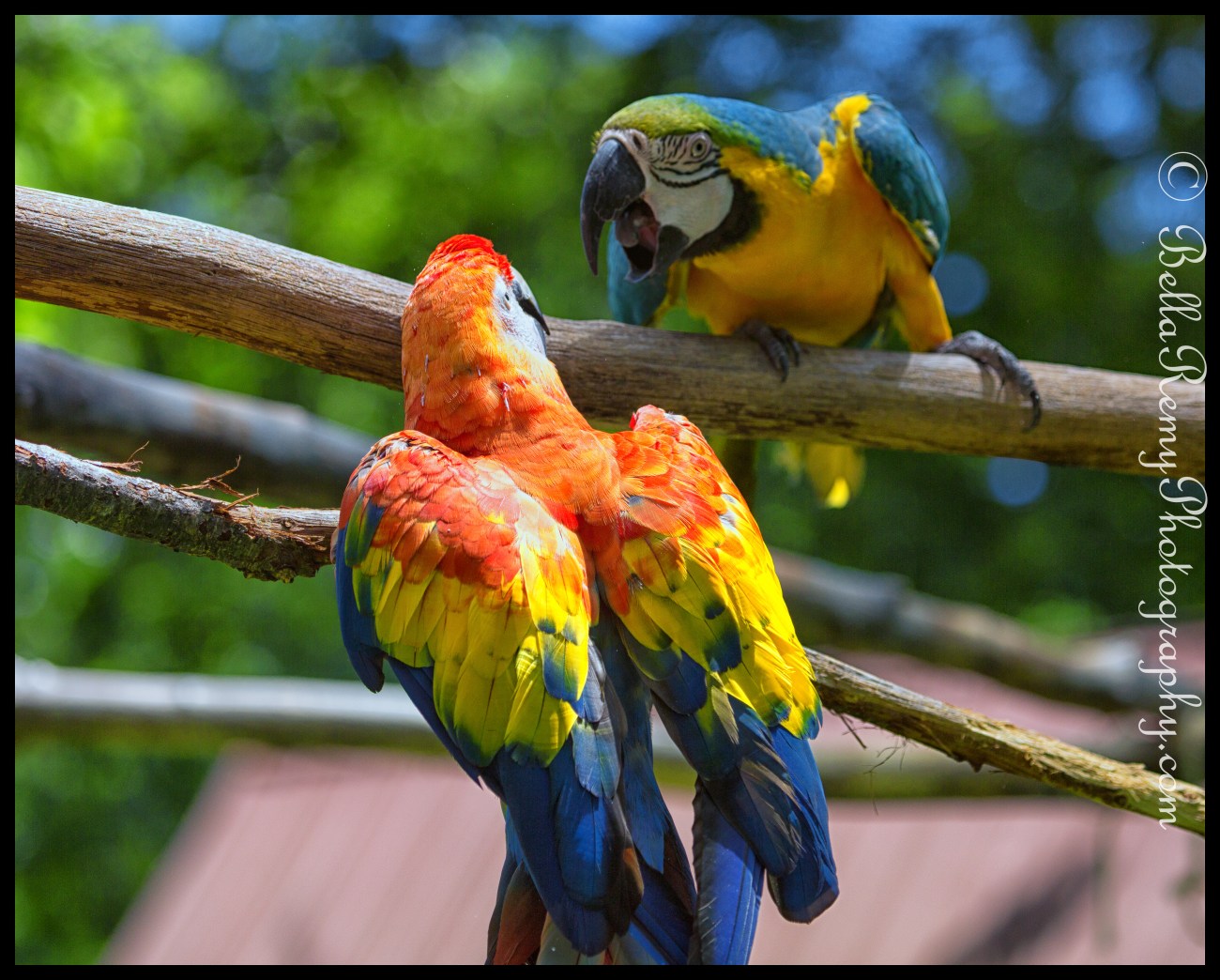 Gettysburg05jul13-2991-Edit