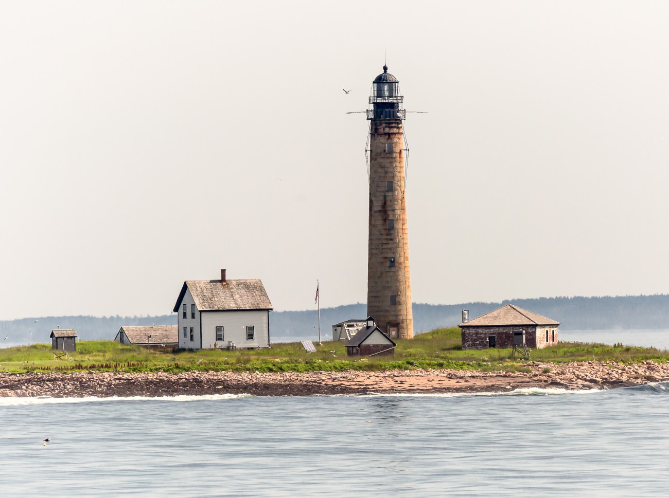 MEWHALE22JUL13-5169-Edit