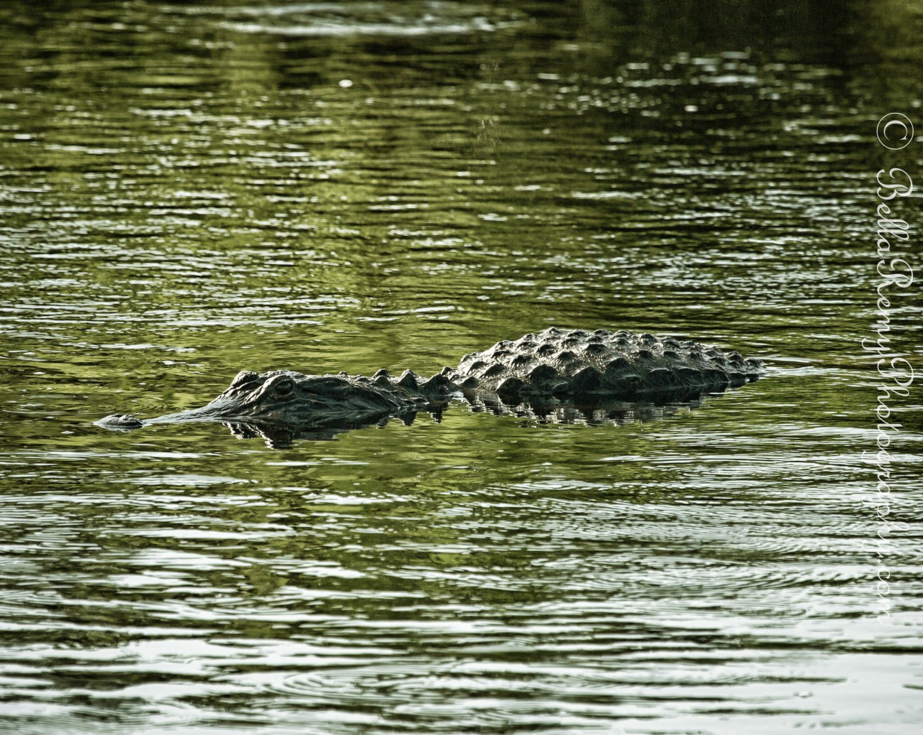 gnv02aug13-6907-Edit