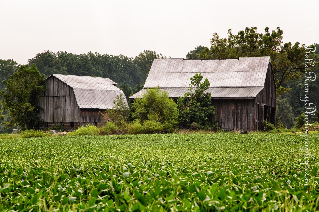 untitled shoot-8958-Edit