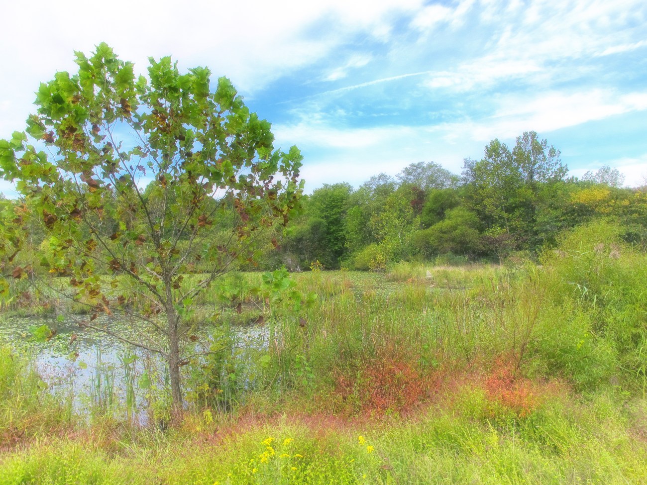 EHC26sep13-2904-Edit