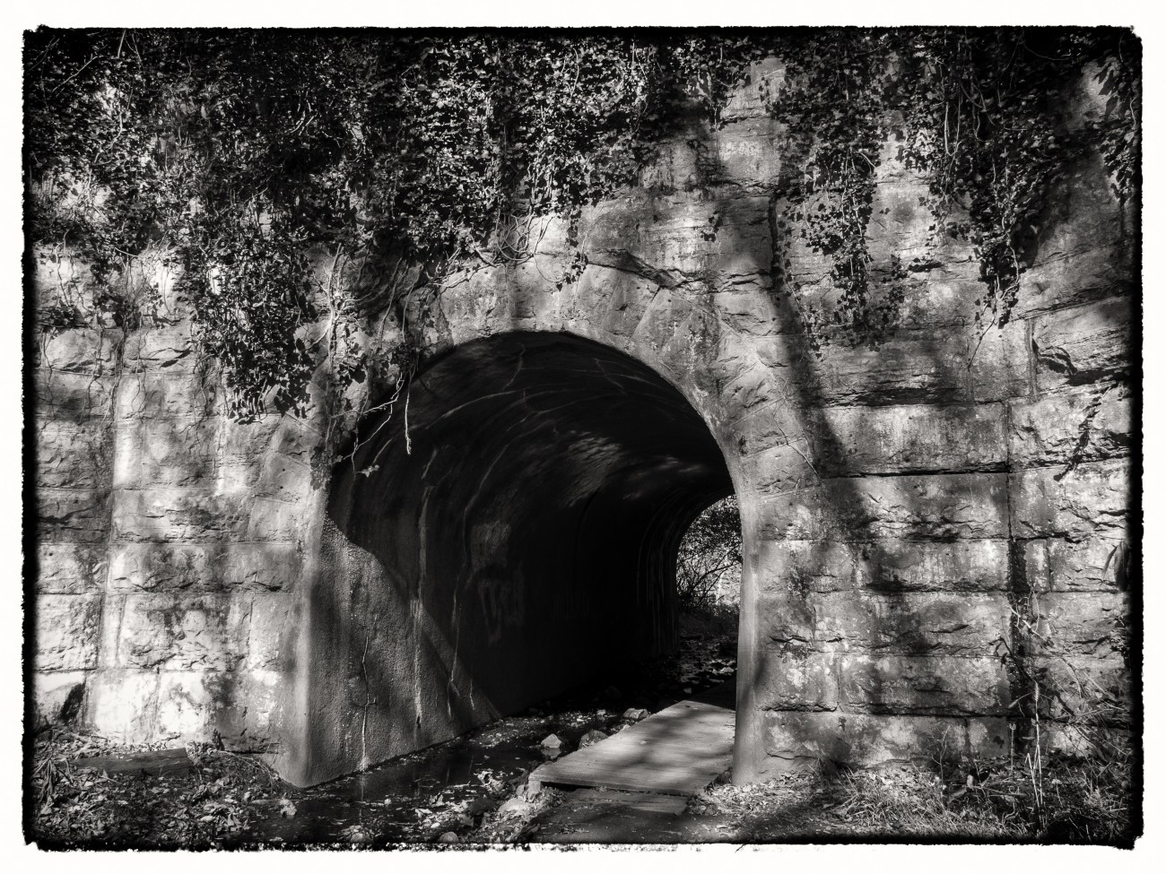 pvsp25oct13-3037-Edit