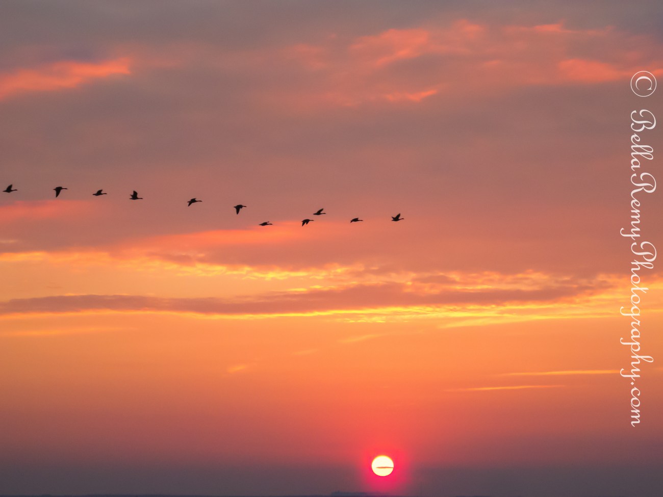 WWPW5oct13-2924-Edit