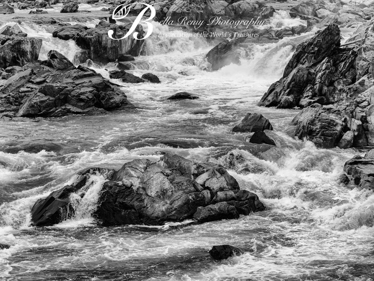 BGT31oct13-3159-Edit