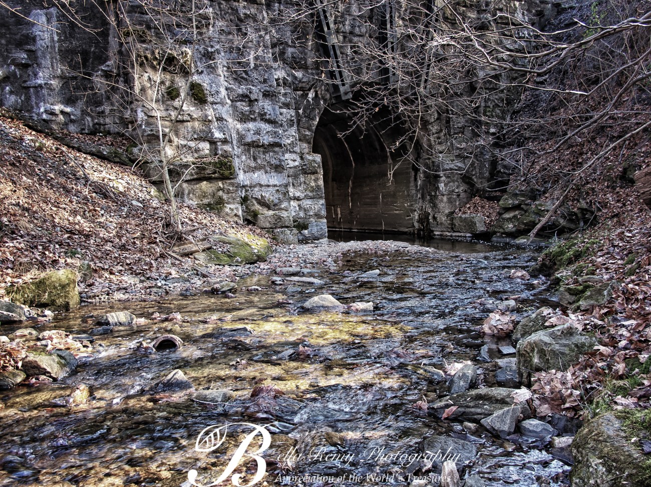 pvsp29nov13-3211-Edit