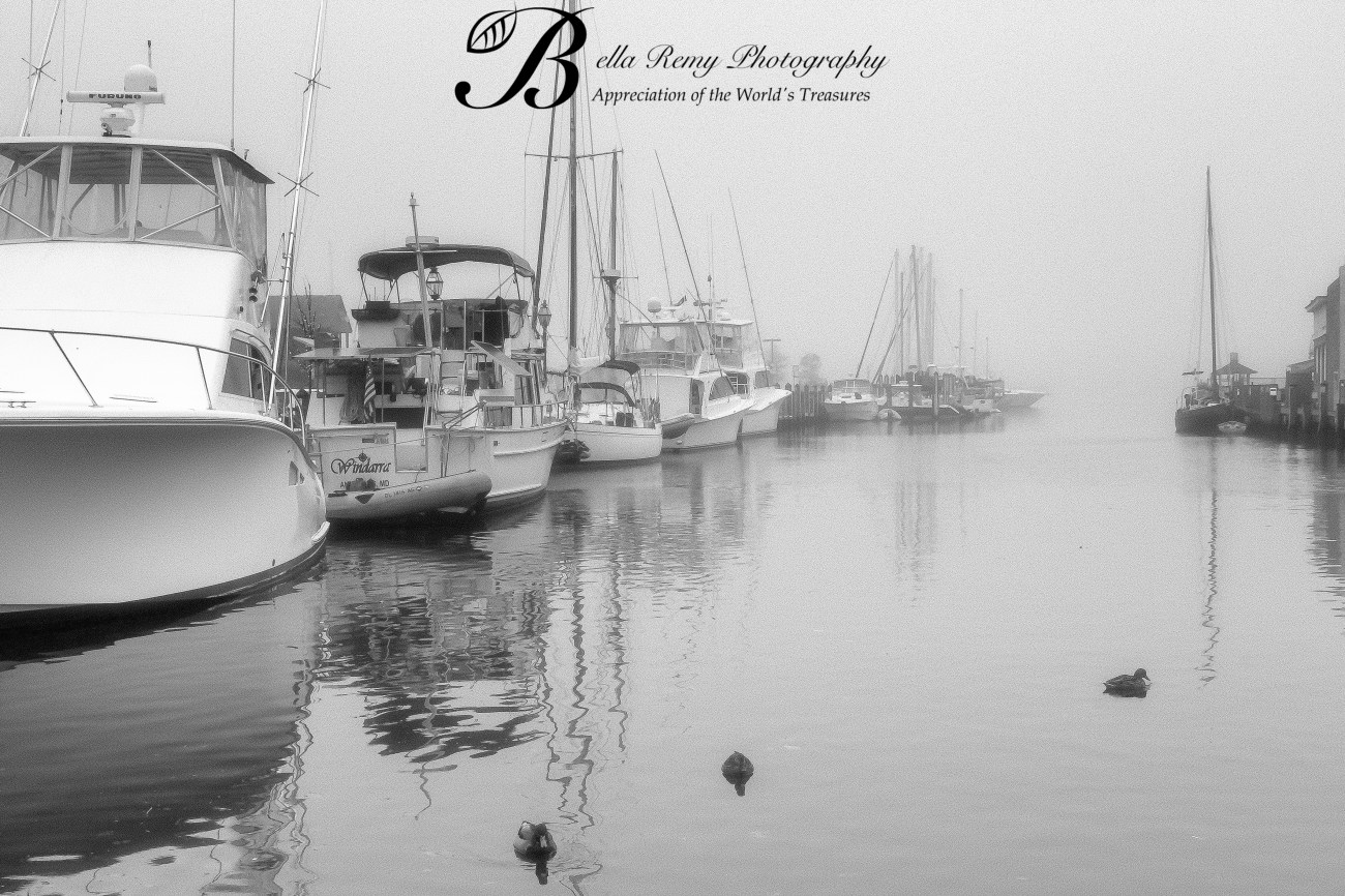 Annap5nov13-9580-Edit